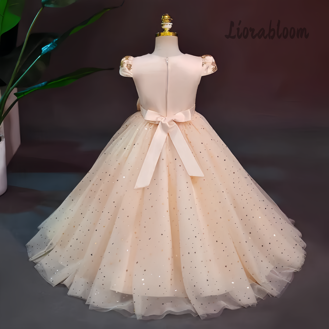 Formal Multicolor Evening Gown - Formal Wear Women Us ulasan dan harga