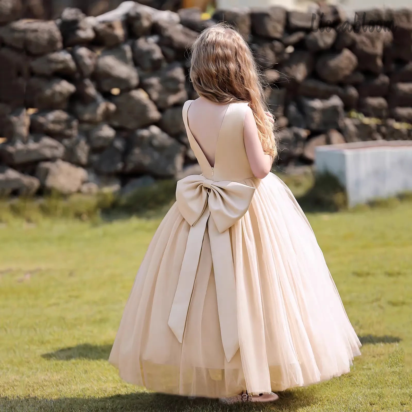 Multicolor Backless Princess D - Formal Wear Women Us ulasan dan harga